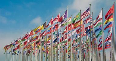 flags of the world waving in the wind